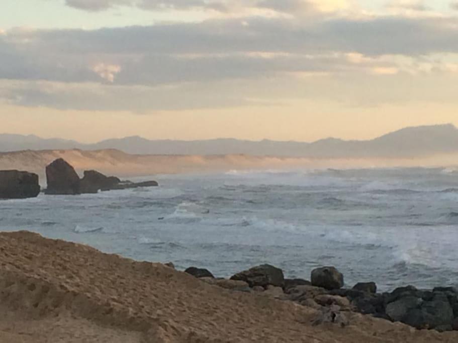 Cap Ocean-Studio Capbreton Εξωτερικό φωτογραφία
